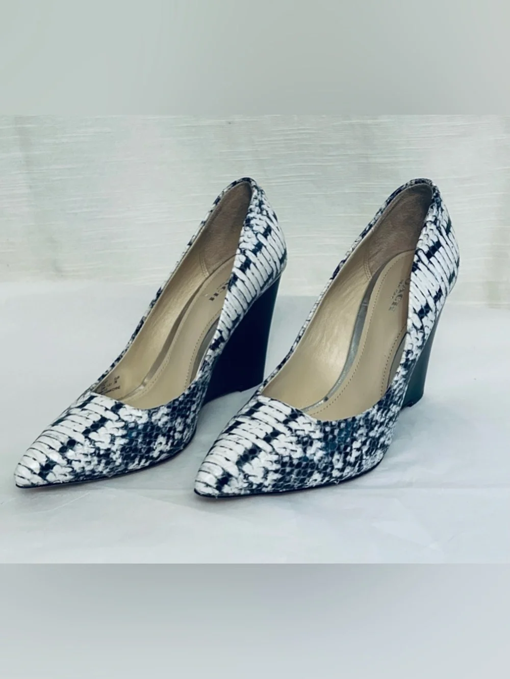 Coach stylish pointed